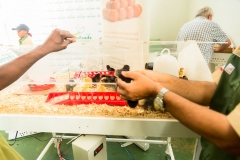 5th-Tanzania-Poultry-Show-151