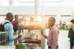 5th-Tanzania-Poultry-Show-176