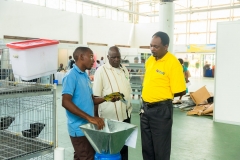 5th-Tanzania-Poultry-Show-210